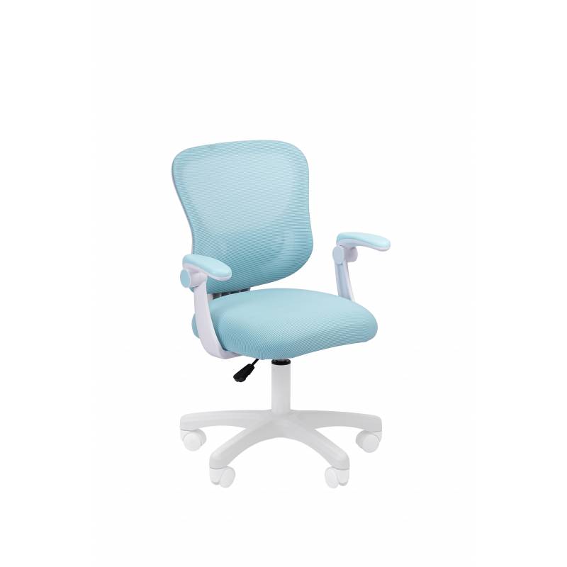Офисное кресло Chairman CH106 голубой главное фото